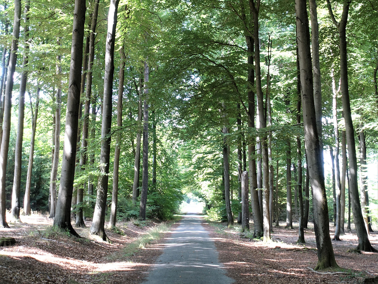 Verkehrsverein-tomberg-wanderung